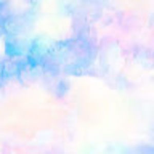 Meet your Posher, Ella